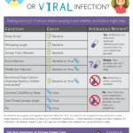 Bacteria or Virus What's Got You Sick?