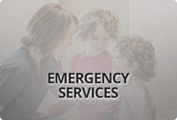 Emergency Services