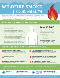 The effects of wildfire smoke