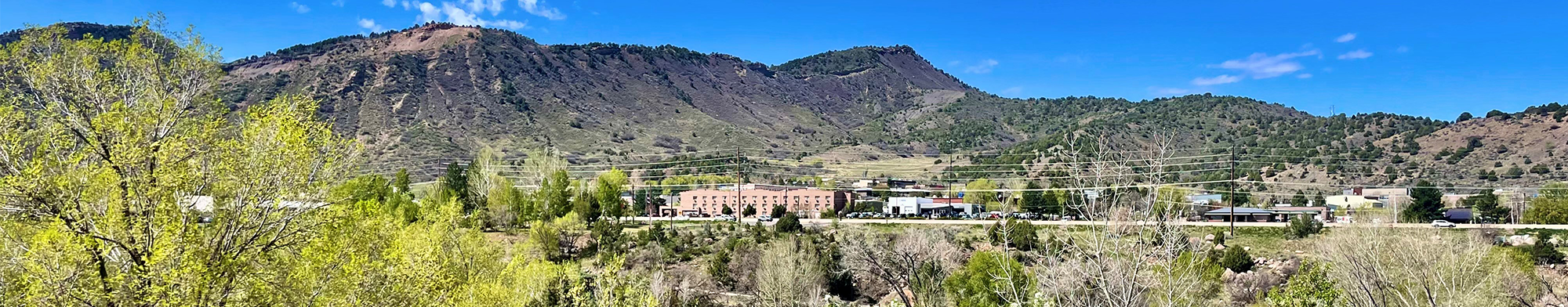 Animas Surgical Hospital